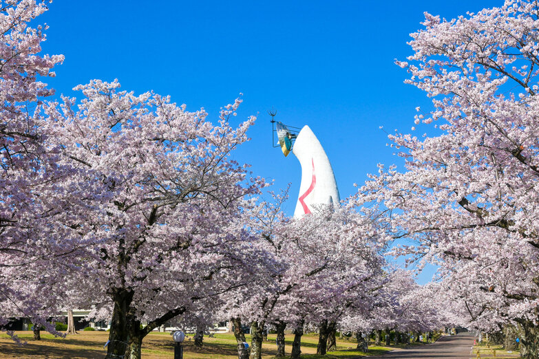 iwafu - Expo '70 Commemorative Park SAKURA EXPO 2026｜Kansai Osaka